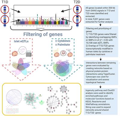 Frontiers | A Dual Systems Genetics Approach Identifies Common Genes ...